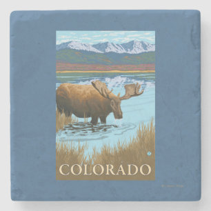 Älg DrinkingColorado Underlägg Sten