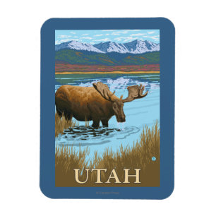 Älg DrinkingUtah Magnet