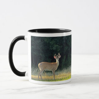 Älg Fotomugg Mugg