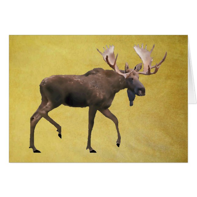 Älg Hälsningskort (Framsidan Horizontal)