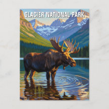 Älg i Glacier National Park Resa