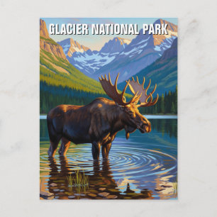 Älg i Glacier National Park Resa Vykort