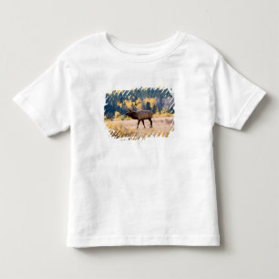 Älg i Rocky Mountain National Park, Colorado Tee