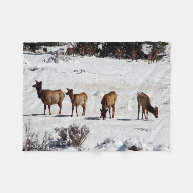 Älg i snö fleecefilt (Framsidan (Horisontell))