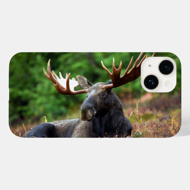 Älg iPhone 14-fodral (Baksida (horisontell))