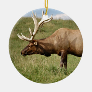 Älg Julgransprydnad Keramik