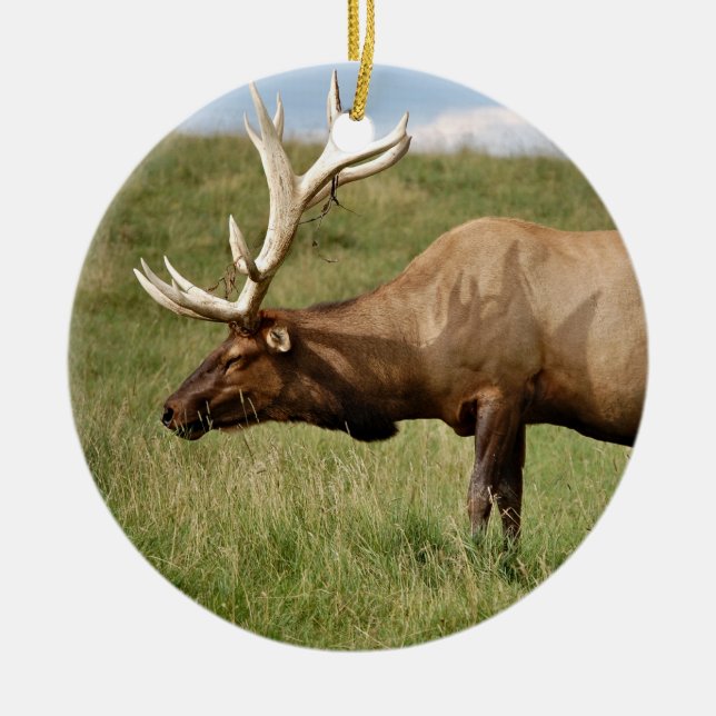 Älg Julgransprydnad Keramik (Framsidan)