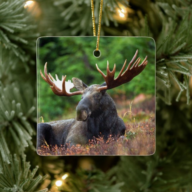 Älg Julgransprydnad Keramik (Träd)