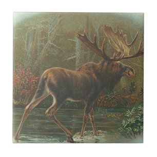 Älg Kakelplatta