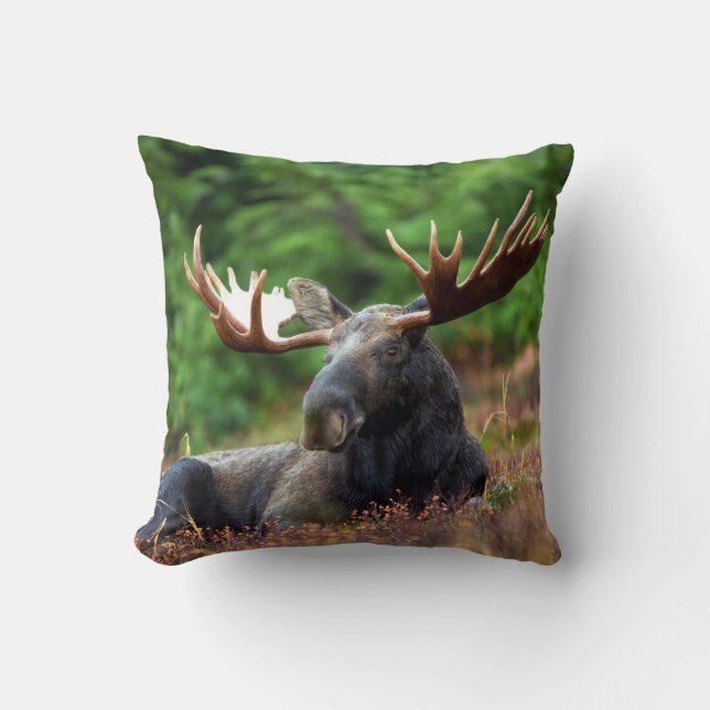 Älg Kudde (Framsida)