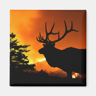 Älg Magnet