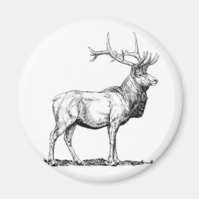 Älg Magnet (Framsidan)