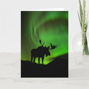 Älg med grön Aurora Borealis, Alaska Kort