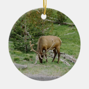 Älg med sammethorn på kronhjort julgransprydnad keramik