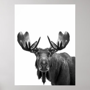 Älg Modern Porträtt svart vit Poster