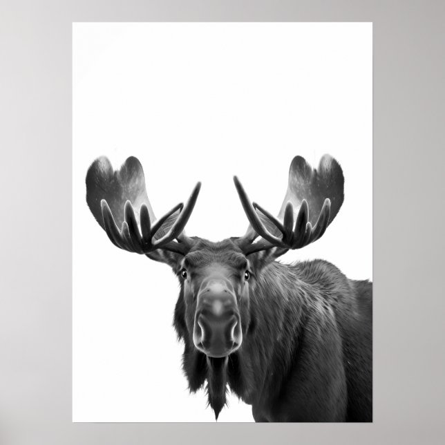Älg Modern Porträtt svart vit Poster (Framsidan)