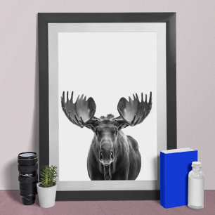 Älg Modern Porträtt svart vitt Poster