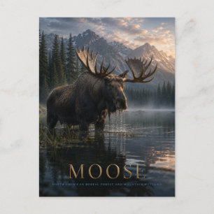 Älg Mountain Lake DJUR Vykort