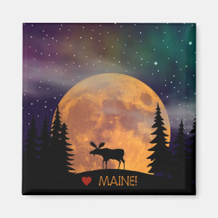 Älg på det löst magnet
