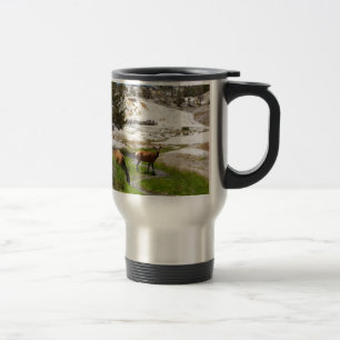 Älg på Mammoth Hot Springs Resemugg
