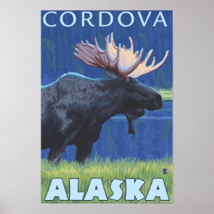 Älg på natten - Cordova, Alaska Poster