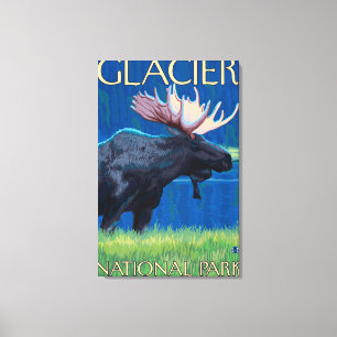 Älg på natten - glaciärnationalpark, MT Canvastryck
