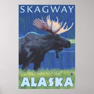 Älg på natten - Skagway, Alaska Poster