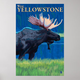 Älg på natten - västra Yellowstone, Montana Poster