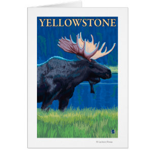 Älg på natten - Yellowstone nationalpark Hälsningskort