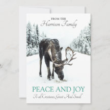 Älg på vinterns snö Julfrid Glädje