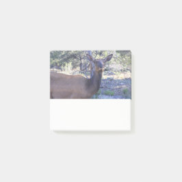Älg Post it-lapp Post-it Block