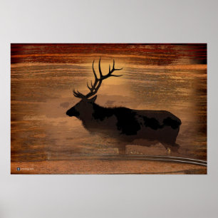 älg poster