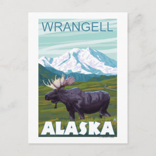 Älg scen - Wrangell, Alaska Vykort