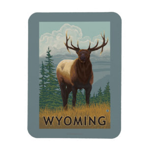 Älg SceneWyoming Magnet