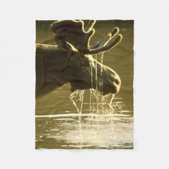 Älg som doppar hans huvud in i vatten fleecefilt (Framsidan)