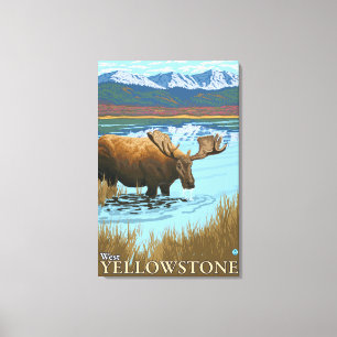 Älg som dricker på sjön - västra Yellowstone, Canvastryck