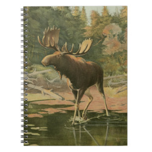 Älg som går i vatten anteckningsbok med spiral
