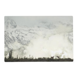 Älg vid Grand Teton National Park Fotografi