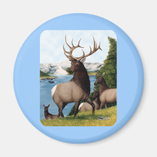 Älg Wapiti Magnet