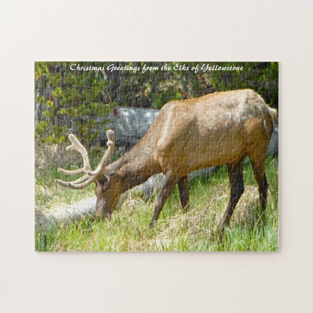 Älg Yellowstone Montana. God jul Pussel (Horisontell)