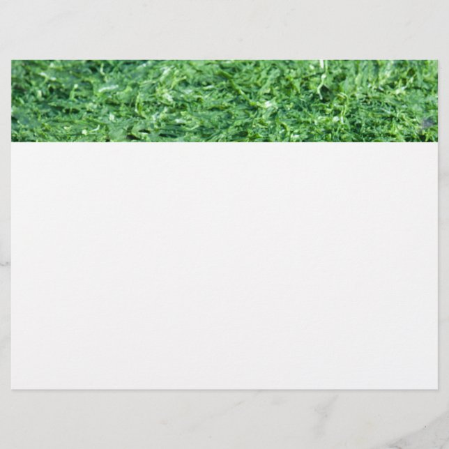 Algae-gröntens bakgrund (Framsida)