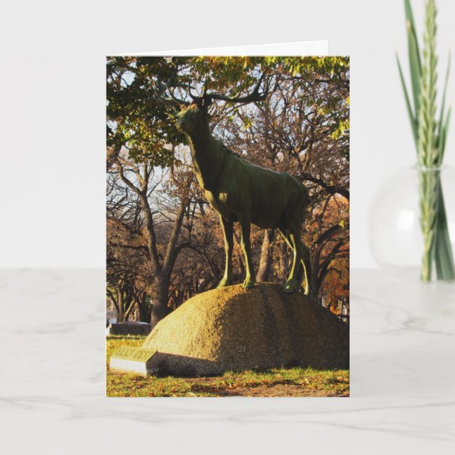 "Älgarnas vila" Sympatikort Kort (Framsida)