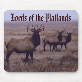 Älgdubbla för tjuren E19 tappar Tines Musmatta