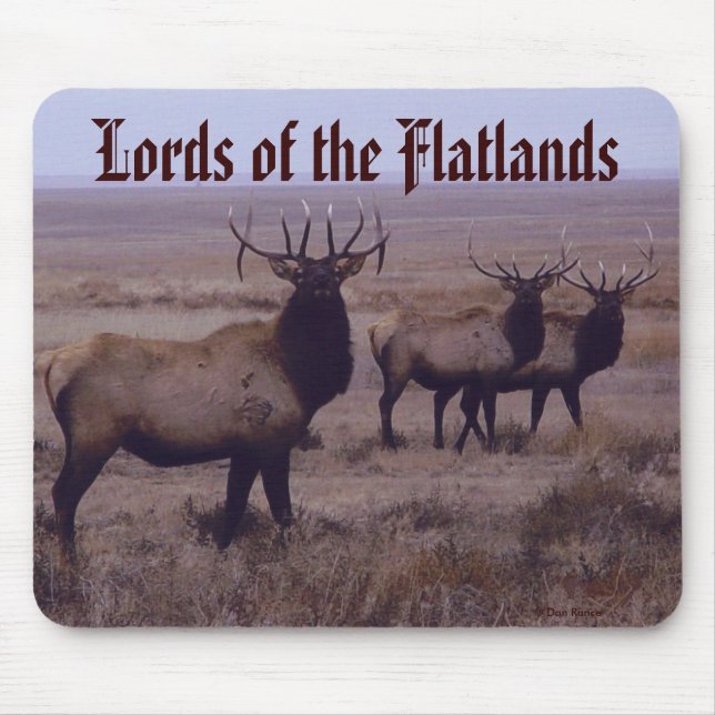 Älgdubbla för tjuren E19 tappar Tines Musmatta (Framsidan)