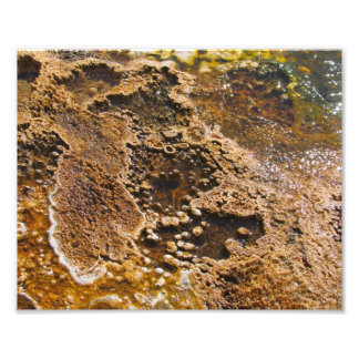 Algea bassäng fototryck