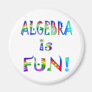 Algebra är Roligt Magnet