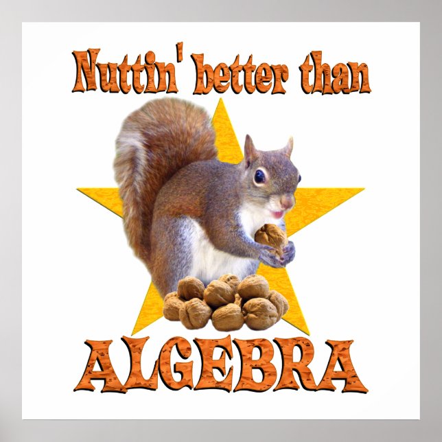 Algebra Squirrel Poster (Framsidan)