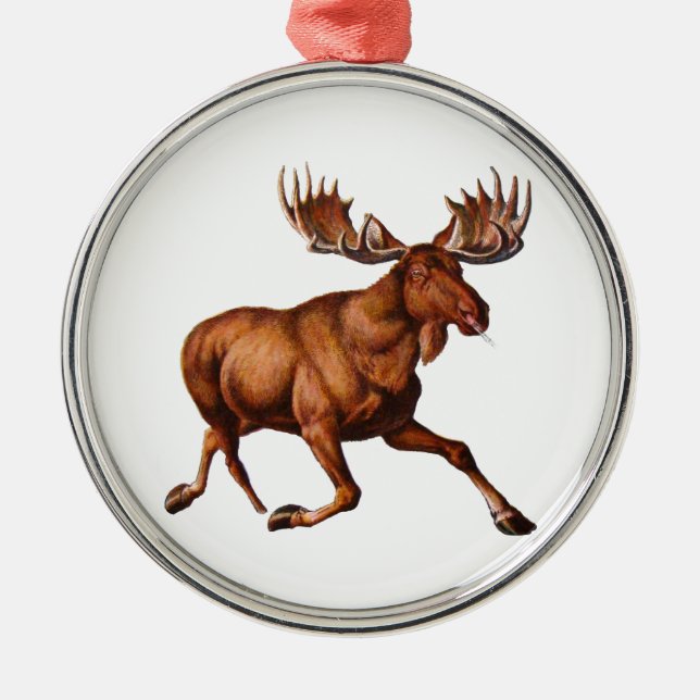 ÄLGEN ÄR LÖS JULGRANSPRYDNAD METALL (Framsidan)