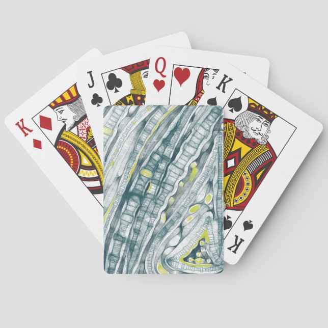 Alger under glas casinokort (Baksidan)