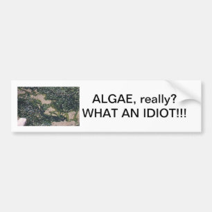 Alger vår frälsare bildekal